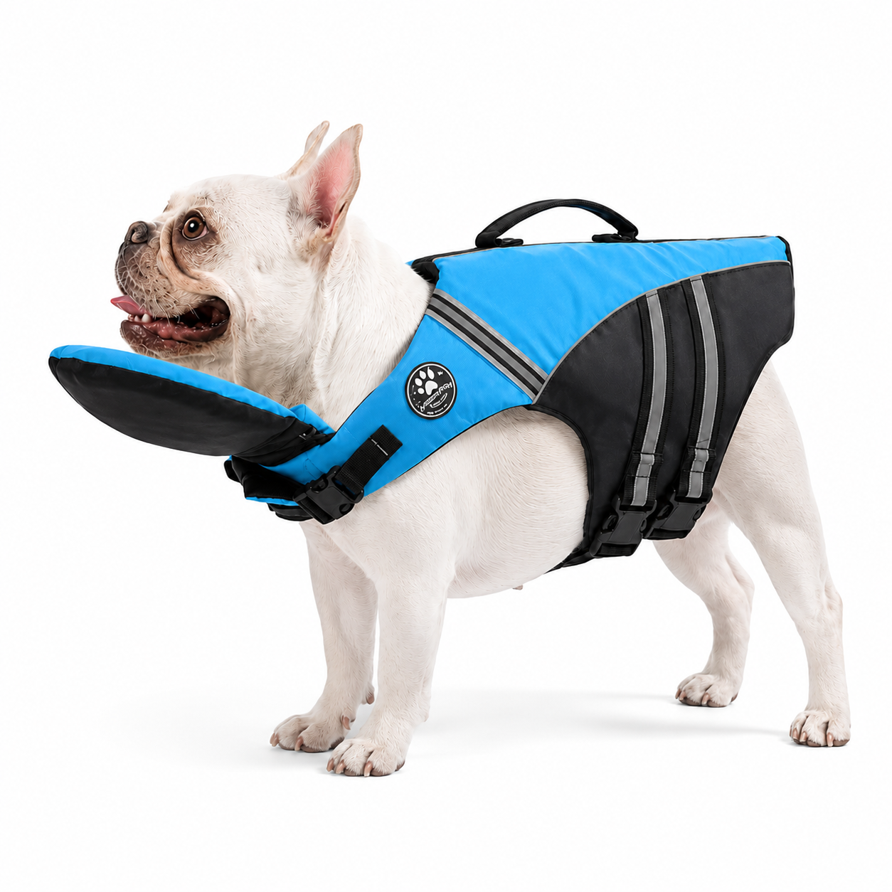 BubblePaw™ - Gilet de flottaison col anti-tasse