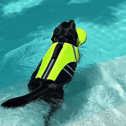 BubblePaw™ - Gilet de flottaison col anti-tasse